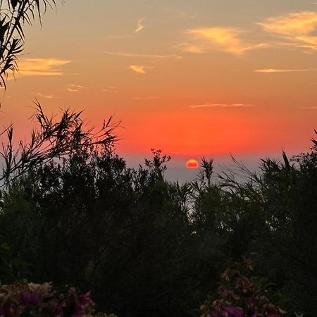 Villa Moma Giardino, Tennis E Piscina Panoramica Ischia Ngoại thất bức ảnh