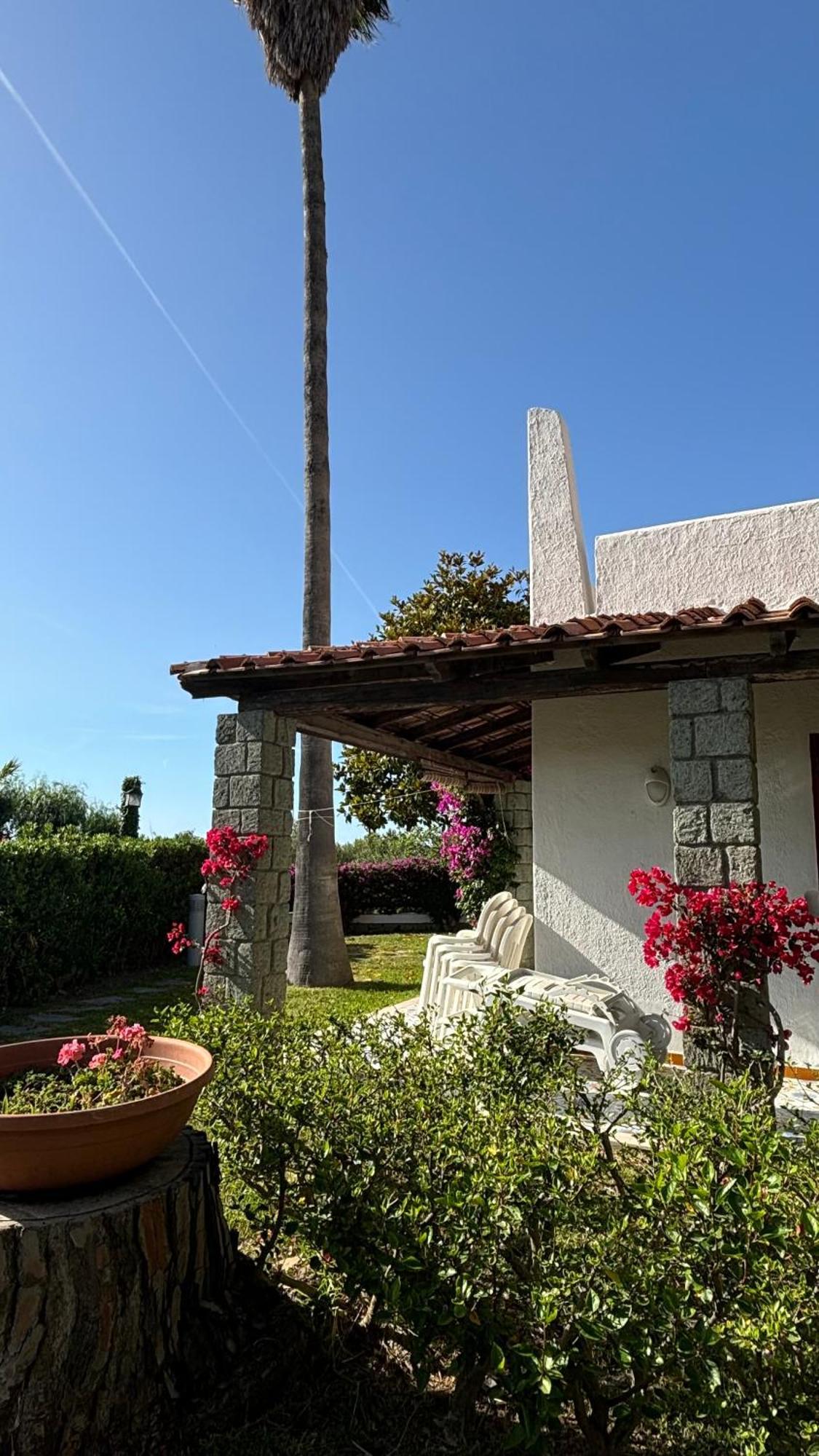 Villa Moma Giardino, Tennis E Piscina Panoramica Ischia Ngoại thất bức ảnh