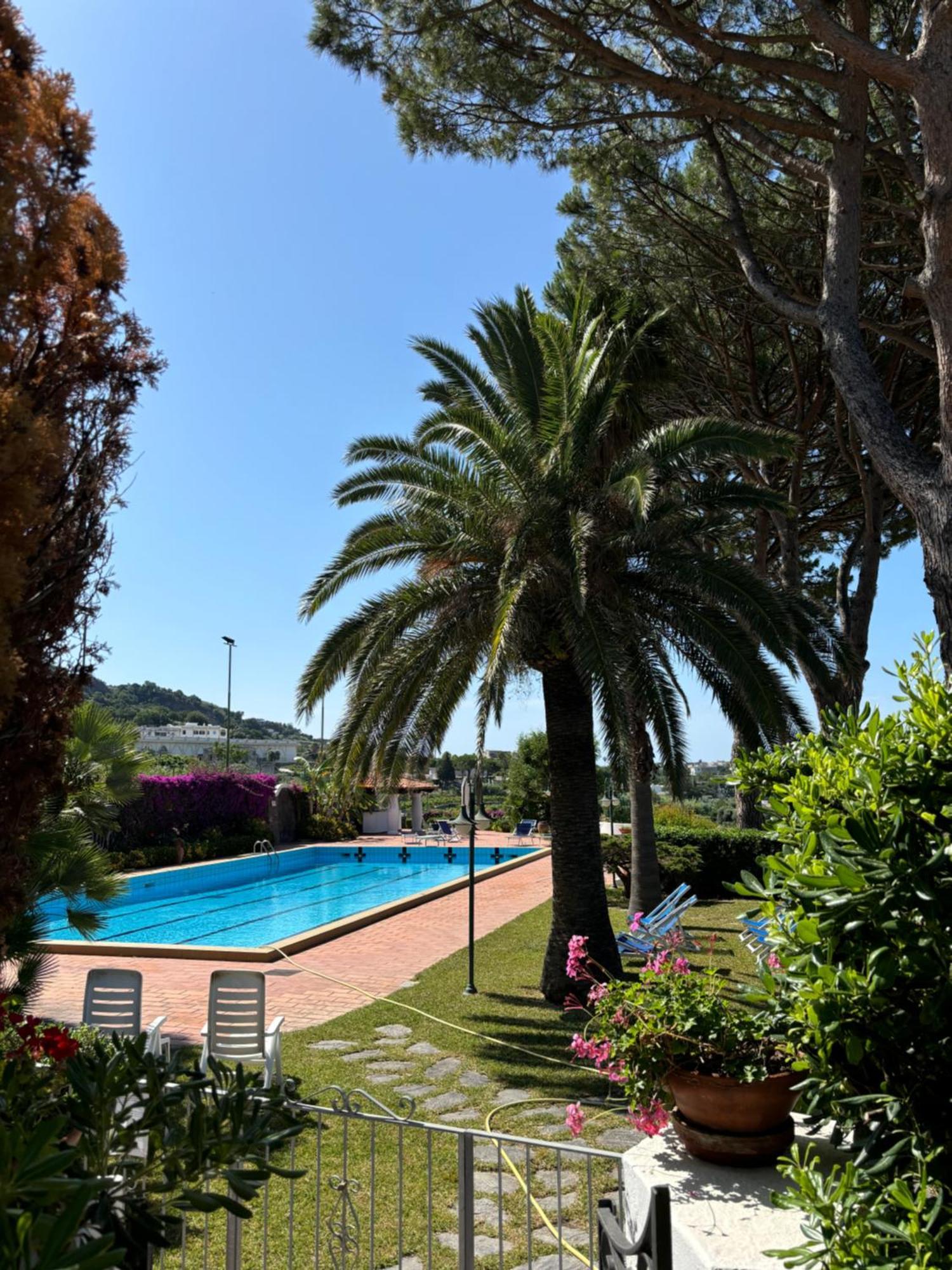 Villa Moma Giardino, Tennis E Piscina Panoramica Ischia Ngoại thất bức ảnh