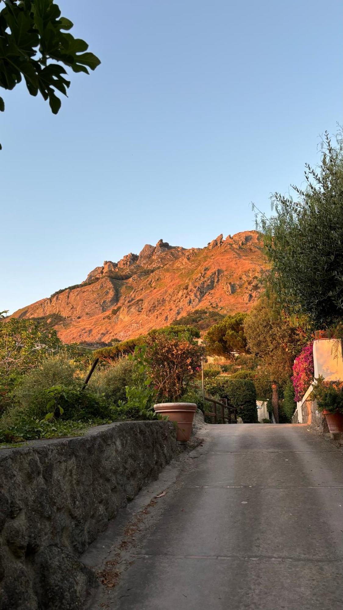 Villa Moma Giardino, Tennis E Piscina Panoramica Ischia Ngoại thất bức ảnh