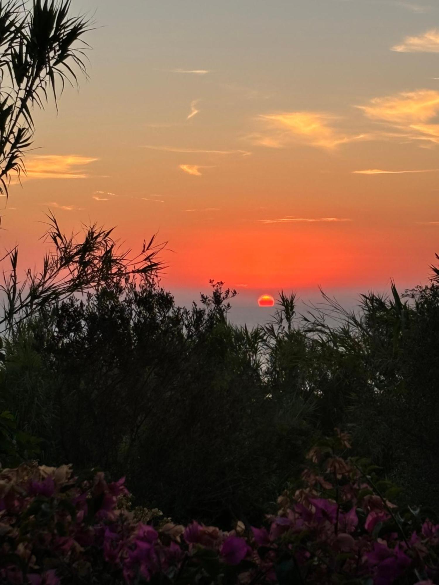 Villa Moma Giardino, Tennis E Piscina Panoramica Ischia Ngoại thất bức ảnh