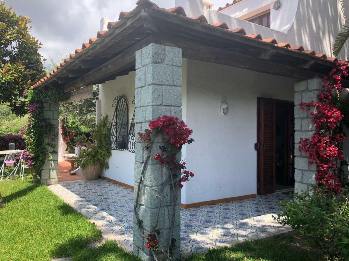 Villa Moma Giardino, Tennis E Piscina Panoramica Ischia Ngoại thất bức ảnh