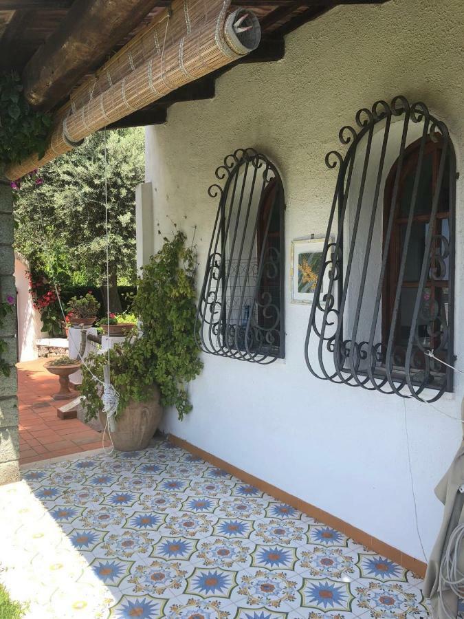 Villa Moma Giardino, Tennis E Piscina Panoramica Ischia Ngoại thất bức ảnh