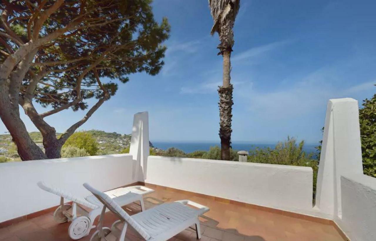 Villa Moma Giardino, Tennis E Piscina Panoramica Ischia Ngoại thất bức ảnh