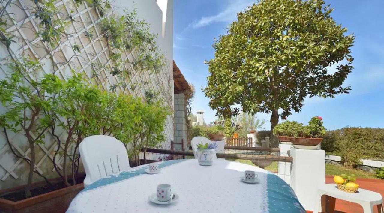 Villa Moma Giardino, Tennis E Piscina Panoramica Ischia Ngoại thất bức ảnh