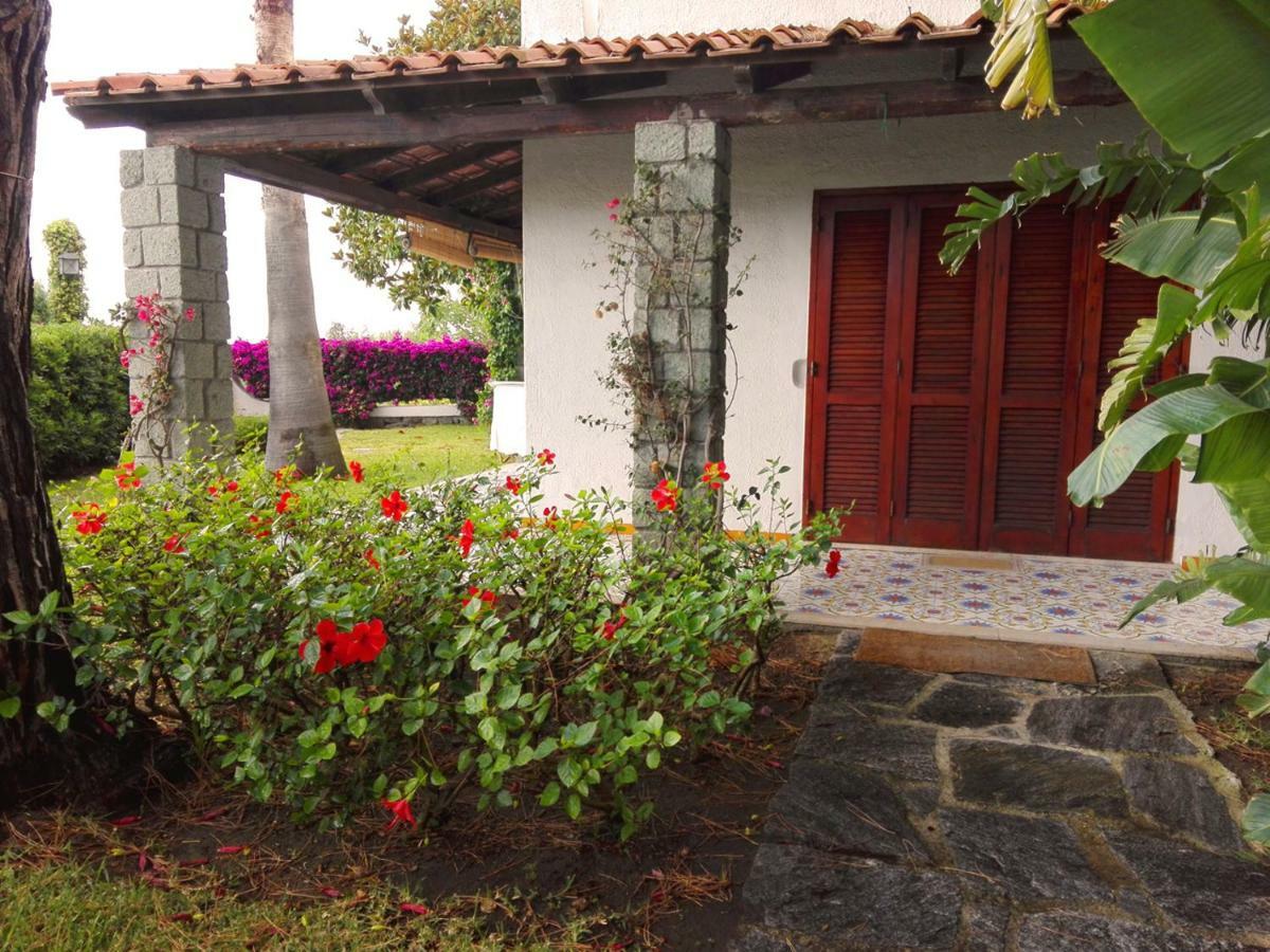 Villa Moma Giardino, Tennis E Piscina Panoramica Ischia Ngoại thất bức ảnh